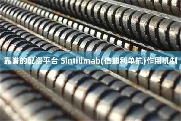 靠谱的配资平台 Sintilimab(信迪利单抗)作用机制
